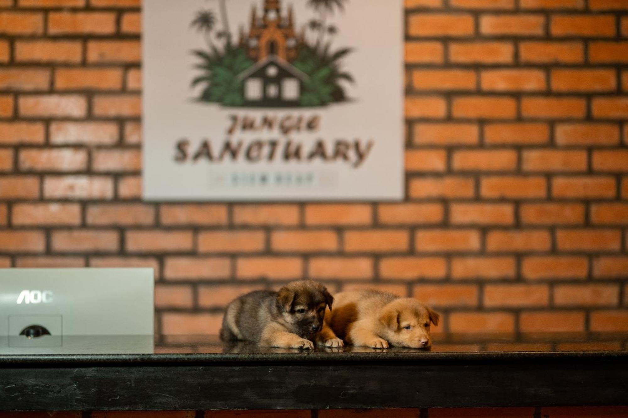 Jungle Sanctuary Hotel Siem Reap Extérieur photo